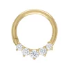 Amella Jewels 10k Gold Cubic Zirconia Septum Clicker Nose Ring -Cheap AmeriLeather Store 5851019